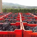 Cascina Baresane 3*