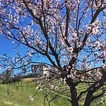 Bed and Breakfast Cascina Baresane 3*