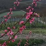 Cascina Baresane Άλμπα