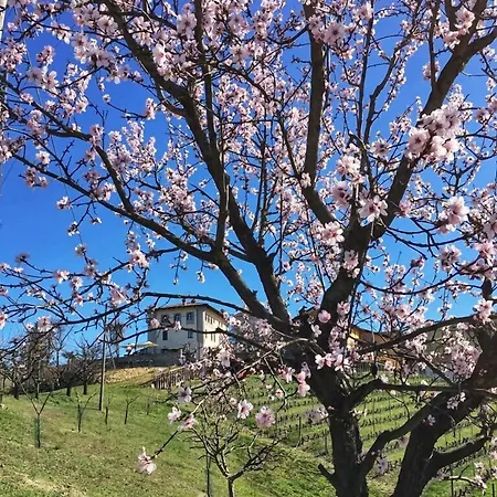 B&B Cascina Baresane 3*