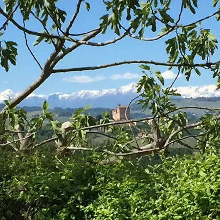 Cascina Baresane